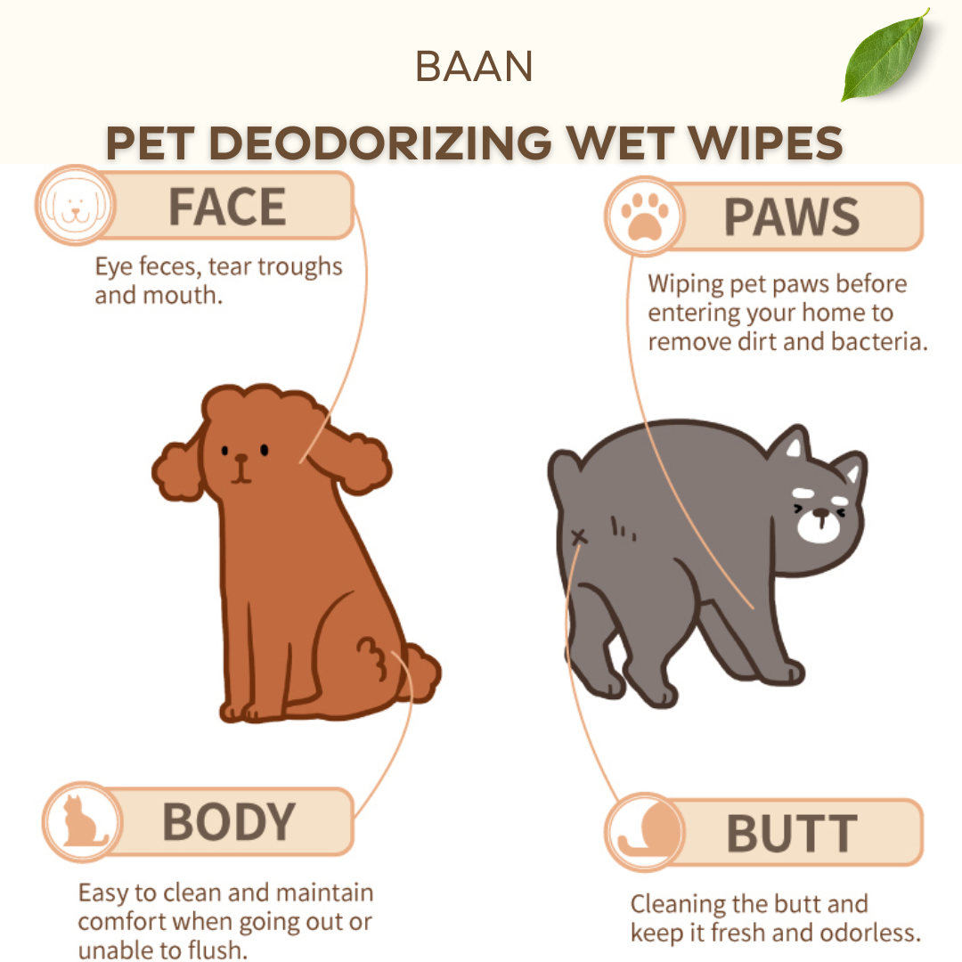 Baan Pet Deodorizing Wet Wipes (30sheets x 3 packets)