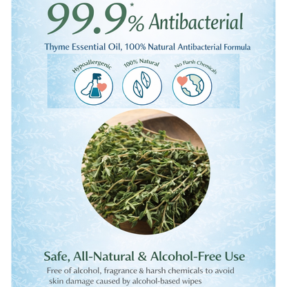 Germagic Soothing Moisturizing Antibacterial Wet Wipes - 80 Wipes