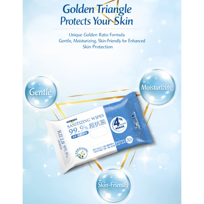 Germagic Soothing Moisturizing Antibacterial Wet Wipes - 80 Wipes