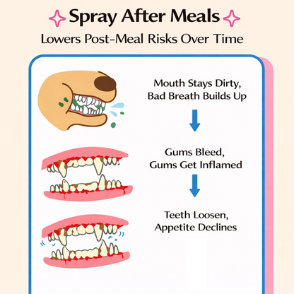 Chic Club Pet Dental Gel 120ml