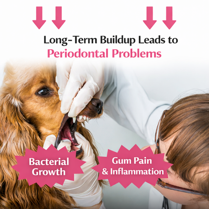 Chic Club Pet Oral Cleansing Spray 200ml