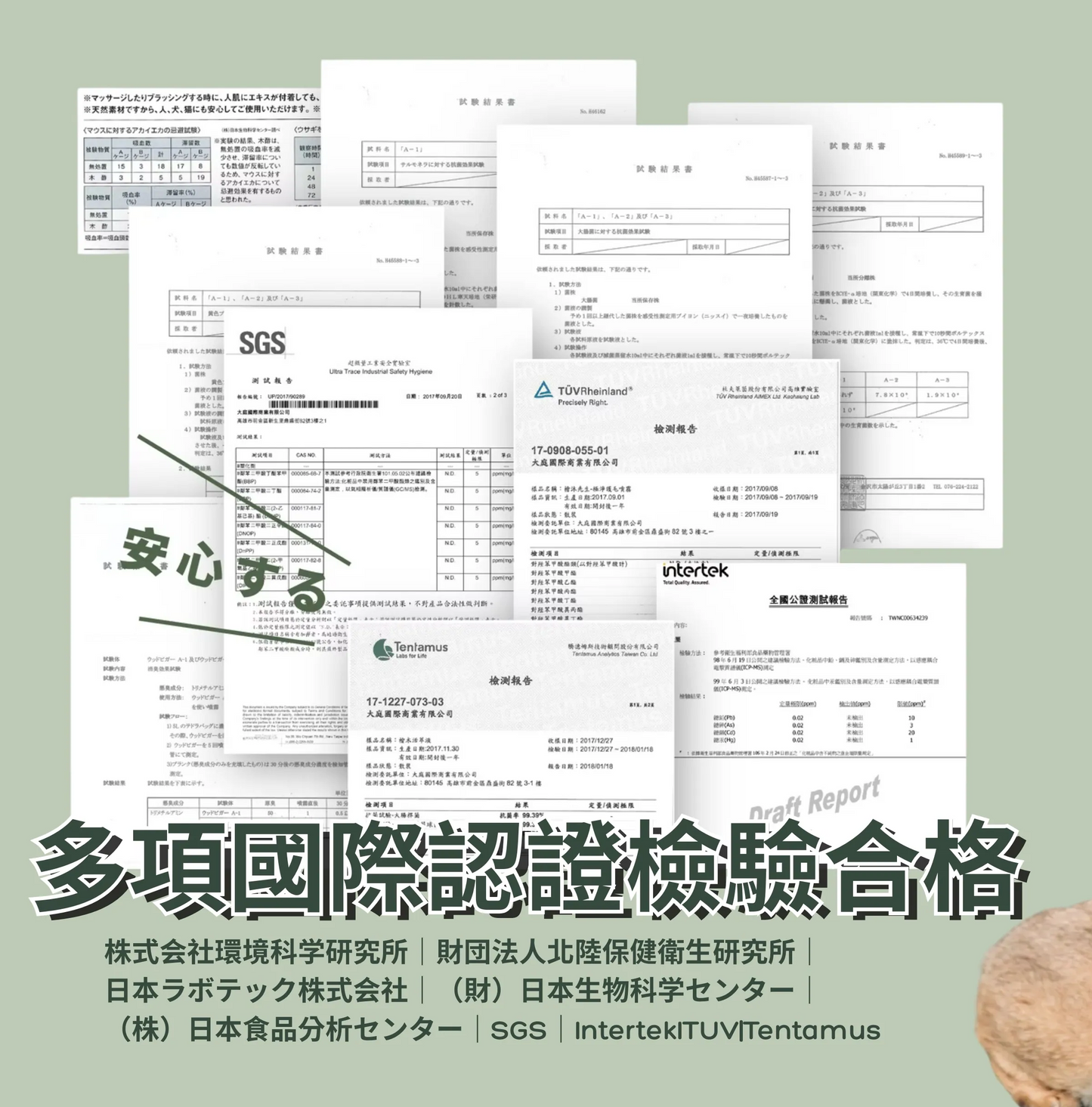 Hinoki Sensei All in One Natural Pet Waterless Bath 30ml