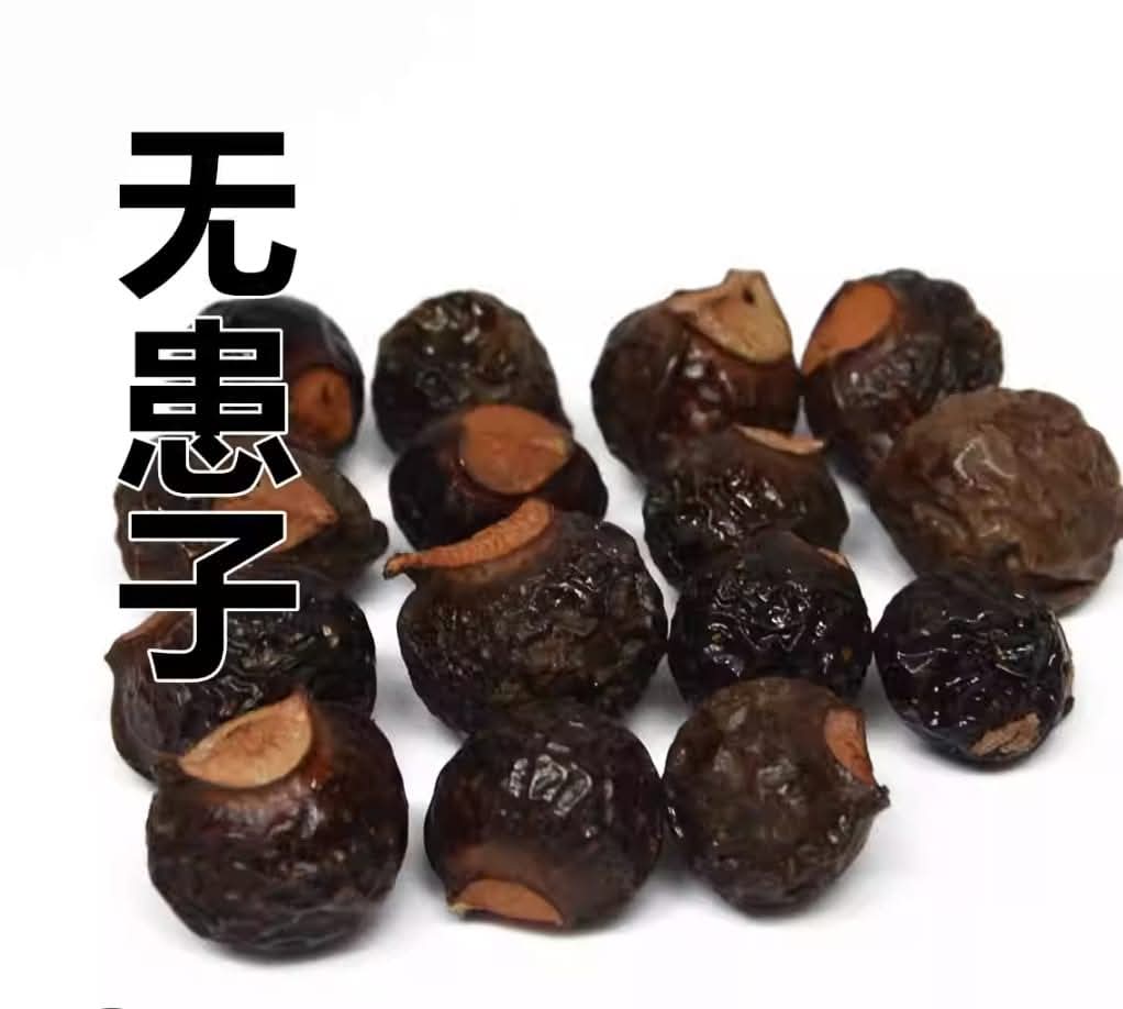 Ecococo Soapberries Natural Dish Drop 1L (bottle) - Pet Friendly (Expiry : 07/26)