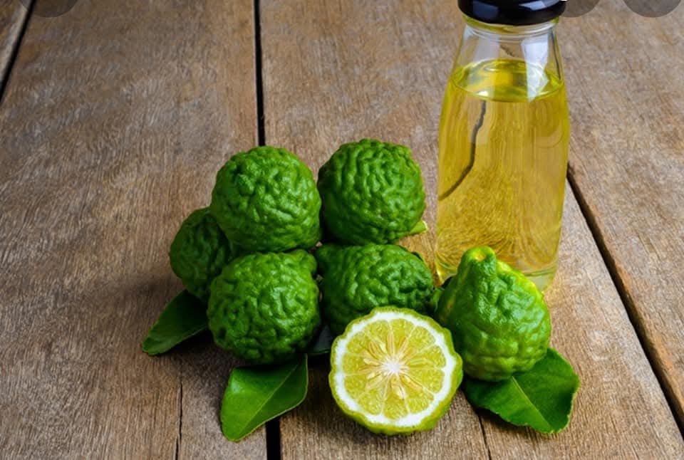 Ecococo Bergamot Natural Hair & Body Wash 500ml (bottle) (Expiry : 07/26)