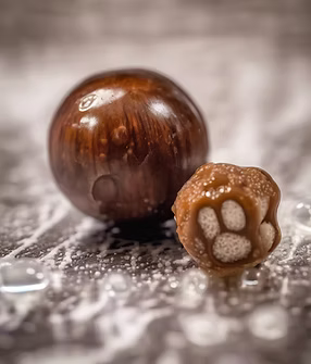 Ecococo Soapberries Natural Dish Drop 1L (bottle) - Pet Friendly (Expiry : 07/26)